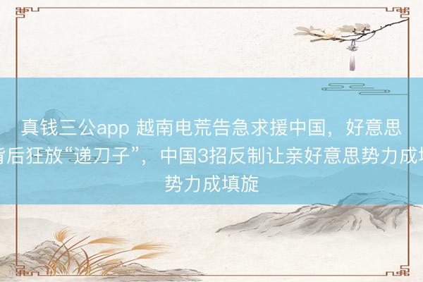 真钱三公app 越南电荒告急求援中国，好意思国背后狂放“递刀子”，中国3招反制让亲好意思势力成填旋