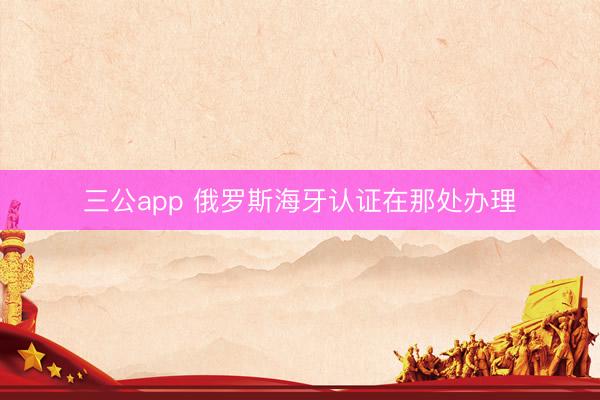三公app 俄罗斯海牙认证在那处办理
