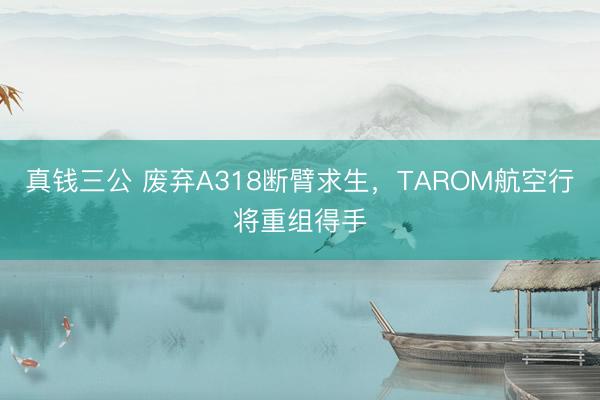 真钱三公 废弃A318断臂求生，TAROM航空行将重组得手