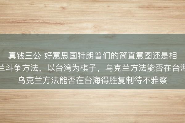 真钱三公 好意思国特朗普们的简直意图还是相等知晓：复制乌克兰斗争方法，以台湾为棋子，乌克兰方法能否在台海得胜复制待不雅察