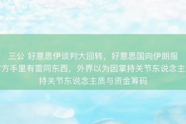 三公 好意思伊谈判大回转，好意思国向伊朗服软了，只因对方手里有雷同东西，外界以为因掌持关节东说念主质与资金筹码