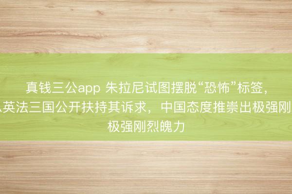 真钱三公app 朱拉尼试图摆脱“恐怖”标签，好意思英法三国公开扶持其诉求，中国态度推崇出极强刚烈魄力