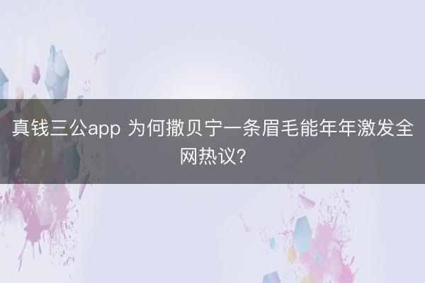 真钱三公app 为何撒贝宁一条眉毛能年年激发全网热议？