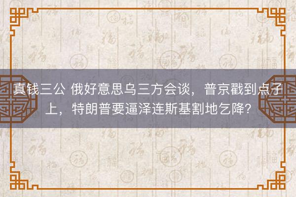 真钱三公 俄好意思乌三方会谈，普京戳到点子上，特朗普要逼泽连斯基割地乞降？