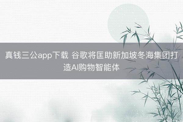 真钱三公app下载 谷歌将匡助新加坡冬海集团打造AI购物智能体
