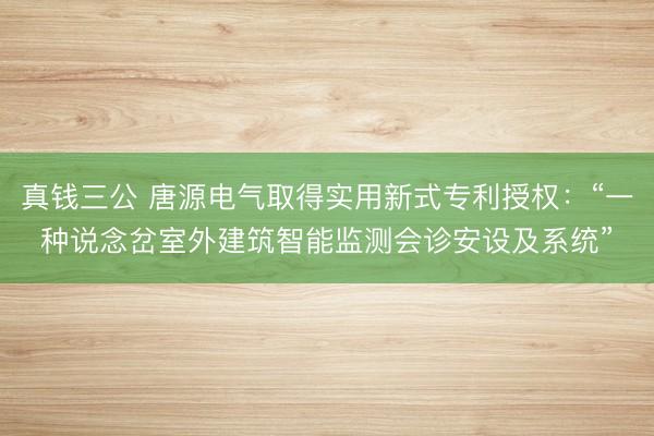 真钱三公 唐源电气取得实用新式专利授权：“一种说念岔室外建筑智能监测会诊安设及系统”