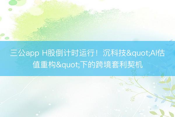 三公app H股倒计时运行！沉科技"AI估值重构"下的跨境套利契机