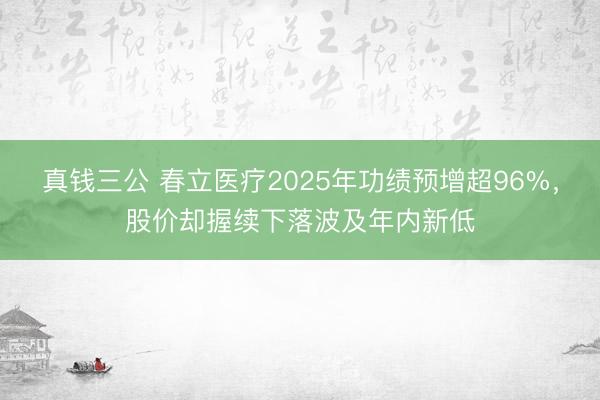 真钱三公 春立医疗2025年功绩预增超96%，股价却握续下落波及年内新低