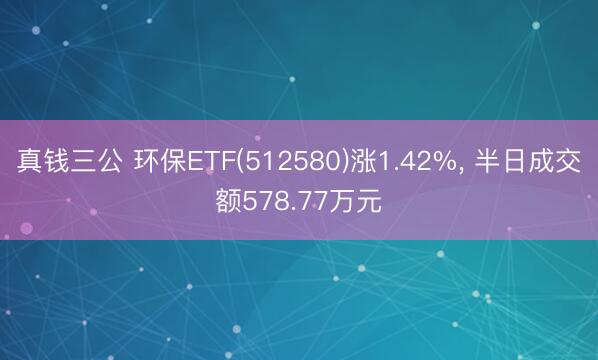 真钱三公 环保ETF(512580)涨1.42%， 半日成交额578.77万元