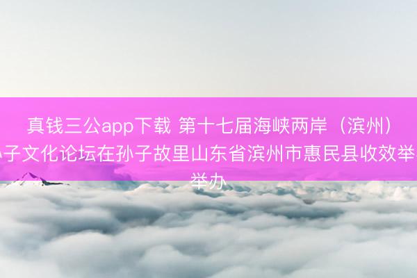 真钱三公app下载 第十七届海峡两岸（滨州）孙子文化论坛在孙子故里山东省滨州市惠民县收效举办