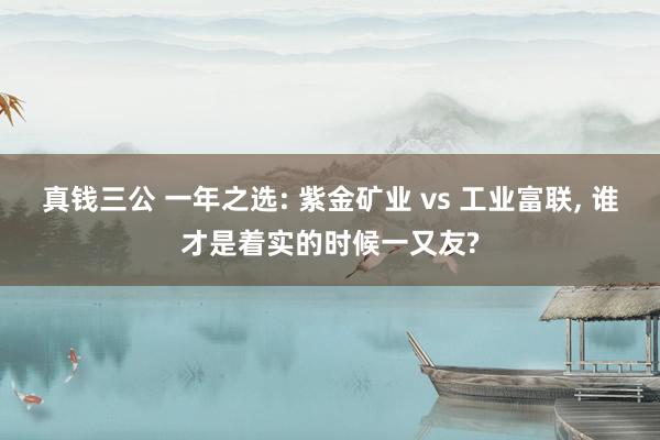 真钱三公 一年之选: 紫金矿业 vs 工业富联, 谁才是着实的时候一又友?