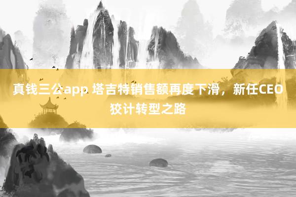 真钱三公app 塔吉特销售额再度下滑，新任CEO狡计转型之路