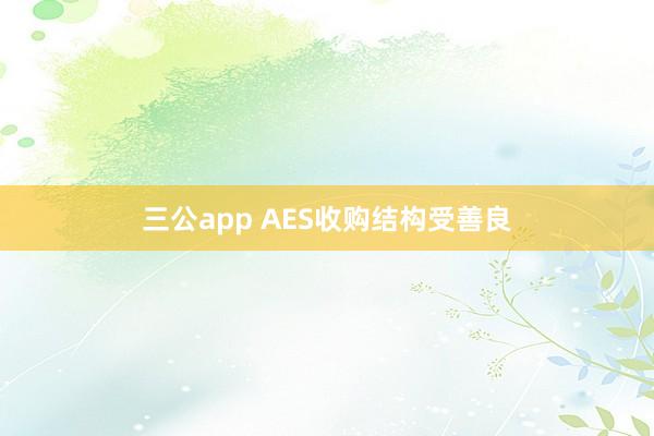 三公app AES收购结构受善良