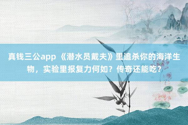 真钱三公app 《潜水员戴夫》里追杀你的海洋生物，实验里报复力何如？传奇还能吃？