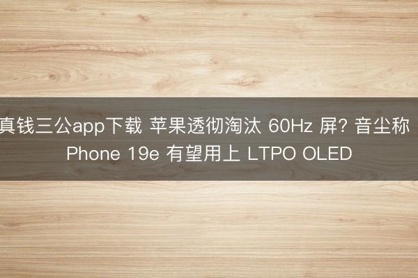 真钱三公app下载 苹果透彻淘汰 60Hz 屏? 音尘称 iPhone 19e 有望用上 LTPO OLED