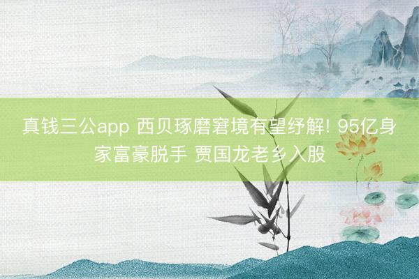 真钱三公app 西贝琢磨窘境有望纾解! 95亿身家富豪脱手 贾国龙老乡入股