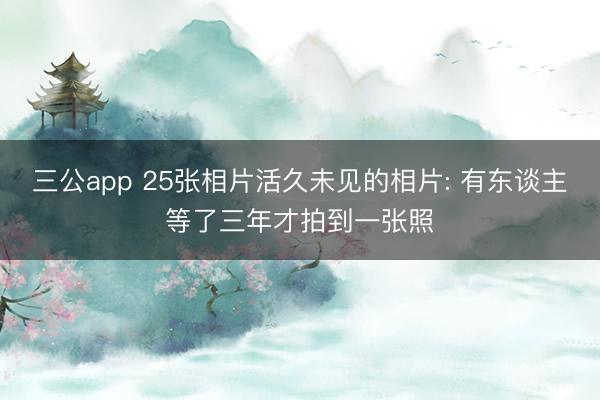 三公app 25张相片活久未见的相片: 有东谈主等了三年才拍到一张照