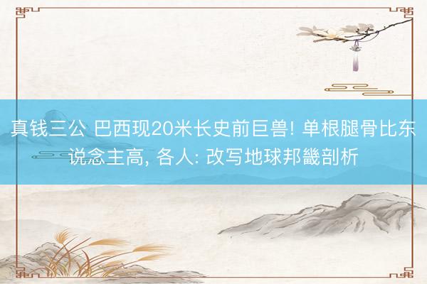 真钱三公 巴西现20米长史前巨兽! 单根腿骨比东说念主高, 各人: 改写地球邦畿剖析