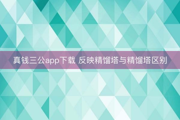 真钱三公app下载 反映精馏塔与精馏塔区别