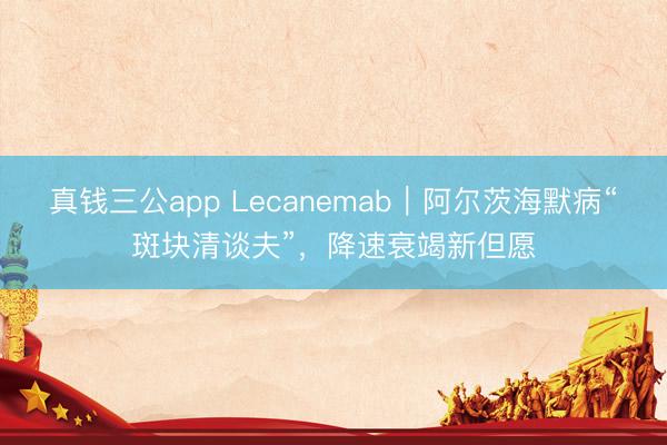 真钱三公app Lecanemab｜阿尔茨海默病“斑块清谈夫”，降速衰竭新但愿