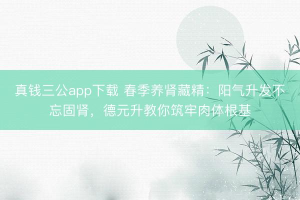 真钱三公app下载 春季养肾藏精：阳气升发不忘固肾，德元升教你筑牢肉体根基