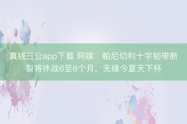 真钱三公app下载 阿媒：帕尼切利十字韧带断裂将休战6至8个月，无缘今夏天下杯