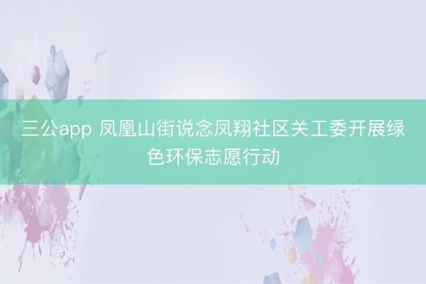 三公app 凤凰山街说念凤翔社区关工委开展绿色环保志愿行动