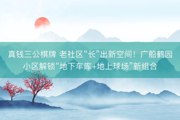 真钱三公棋牌 老社区“长”出新空间！广船鹤园小区解锁“地下车库+地上球场”新组合