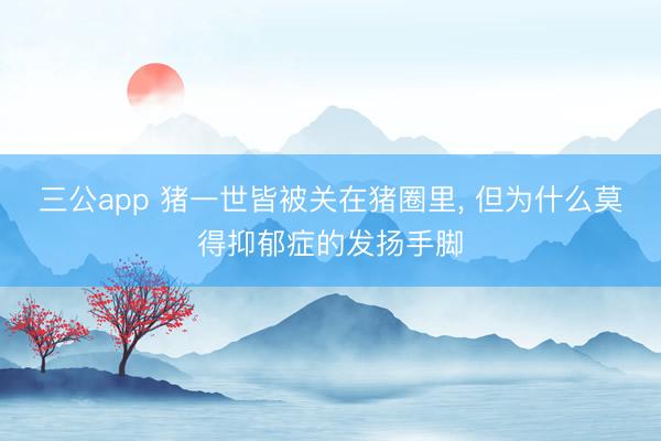 三公app 猪一世皆被关在猪圈里, 但为什么莫得抑郁症的发扬手脚