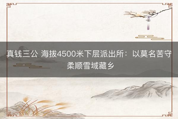 真钱三公 海拔4500米下层派出所:以莫名苦守 柔顺雪域藏乡