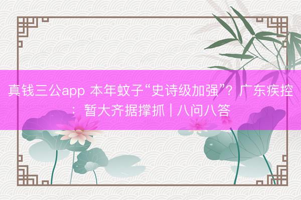 真钱三公app 本年蚊子“史诗级加强”？广东疾控：暂大齐据撑抓 | 八问八答
