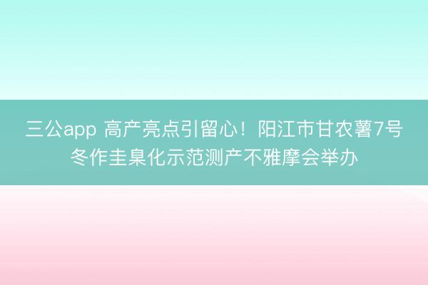 三公app 高产亮点引留心！阳江市甘农薯7号冬作圭臬化示范测产不雅摩会举办