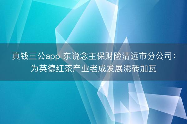 真钱三公app 东说念主保财险清远市分公司：为英德红茶产业老成发展添砖加瓦