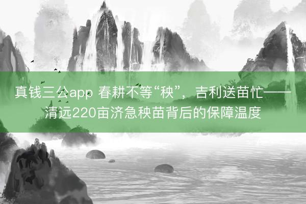 真钱三公app 春耕不等“秧”,吉利送苗忙——清远220亩济急秧苗背后的保障温度