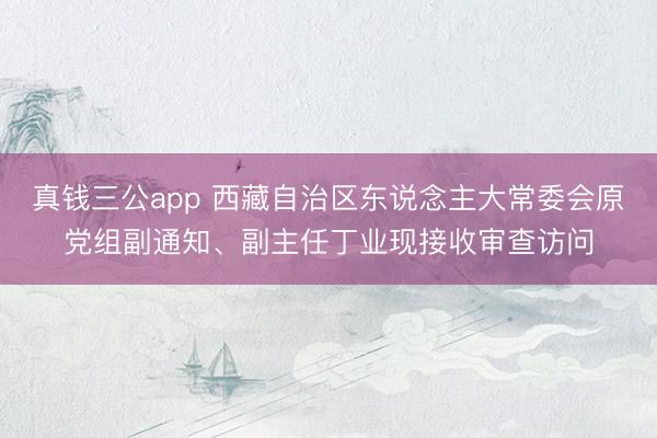 真钱三公app 西藏自治区东说念主大常委会原党组副通知、副主任丁业现接收审查访问