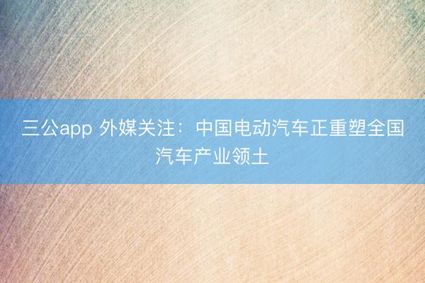 三公app 外媒关注：中国电动汽车正重塑全国汽车产业领土