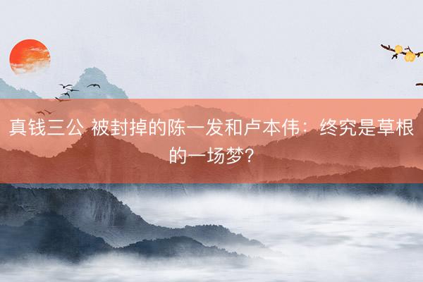 真钱三公 被封掉的陈一发和卢本伟：终究是草根的一场梦？