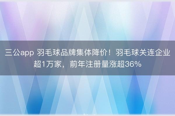 三公app 羽毛球品牌集体降价!羽毛球关连企业超1万家,前年注册量涨超36%