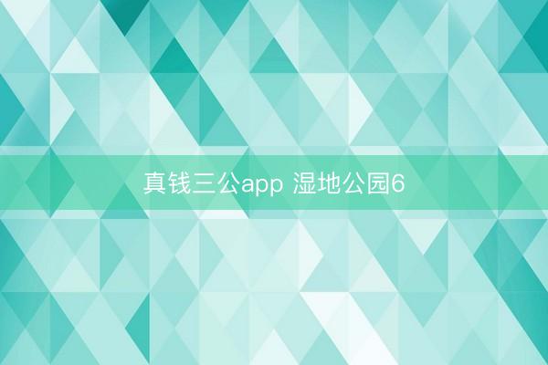 真钱三公app 湿地公园6