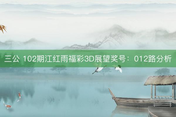 三公 102期江红雨福彩3D展望奖号：012路分析