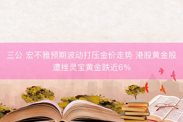三公 宏不雅预期波动打压金价走势 港股黄金股遭挫灵宝黄金跌近6%