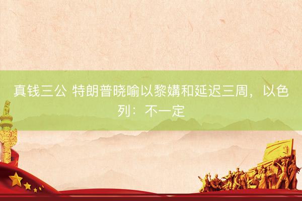 真钱三公 特朗普晓喻以黎媾和延迟三周，以色列：不一定