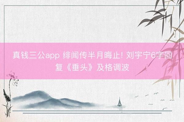 真钱三公app 绯闻传半月晦止! 刘宇宁6字回复《垂头》及格调波